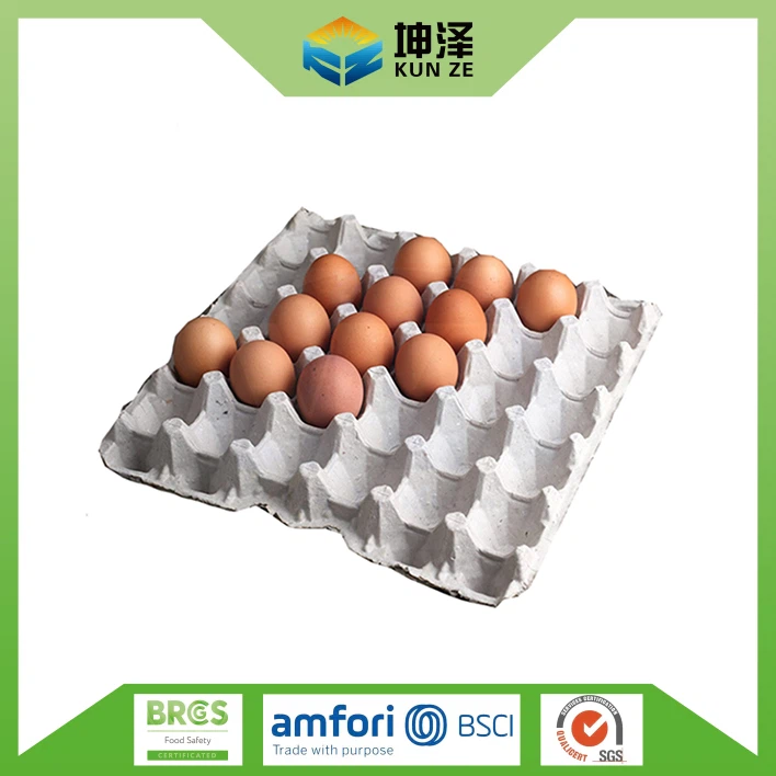 Pulp Egg Tray
