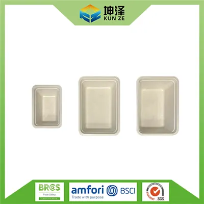 Stačiakampiai „Bagasse“ maisto konteineriai