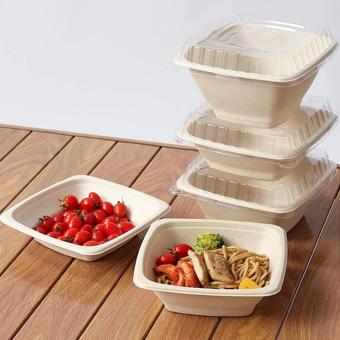 Disposable Bento Containers best