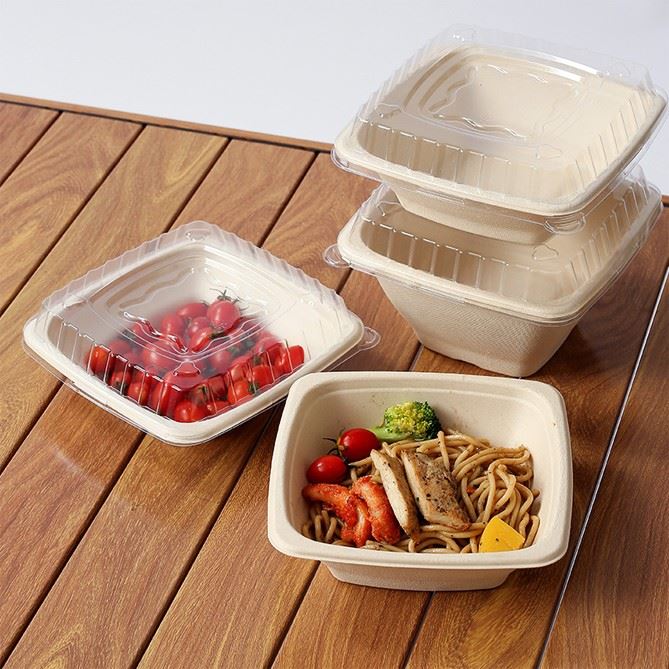Disposable Bento Containers suppliers