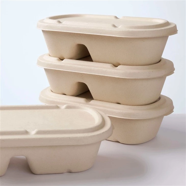 2 Compartment Small Meal Tray